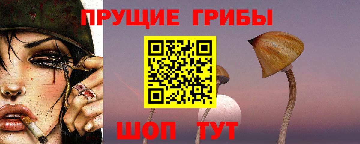 купить наркотик  Галлюциногенные грибы ЛСД  Псилоцибиновые грибы мухоморы  Вход с VPN  Алейск 